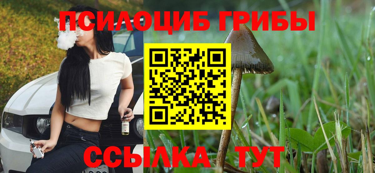 Псилоцибиновые грибы GOLDEN TEACHER Хабаровск