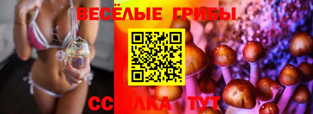 Псилоцибиновые грибы GOLDEN TEACHER  магазин    Хабаровск  Вход с VPN 