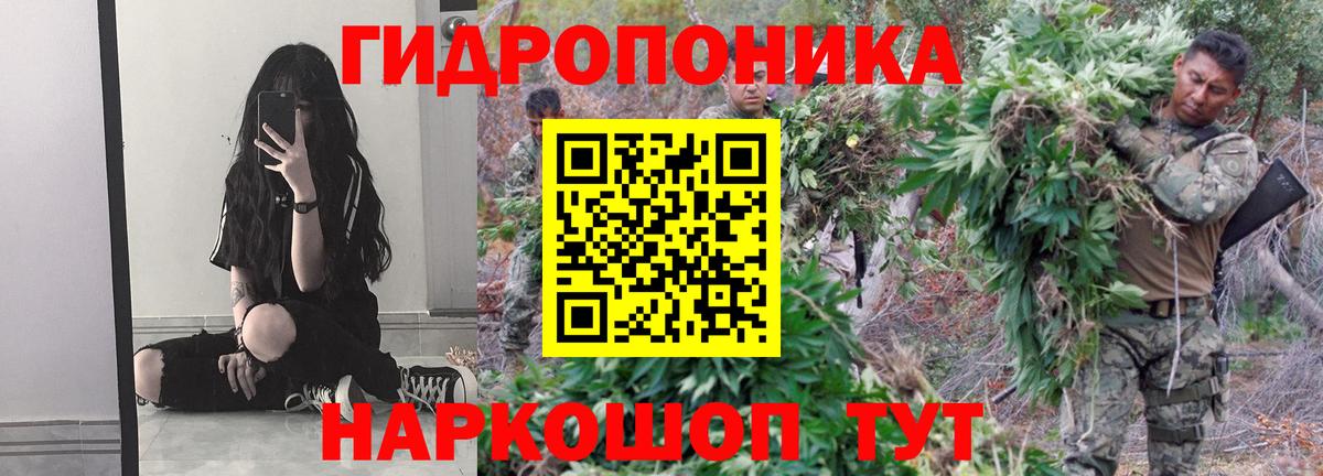 МАРИХУАНА семена  Бошки марихуана ГИДРОПОН  Хабаровск  МАРИХУАНА White Widow  Шишки марихуана AK-47  Вход с VPN 